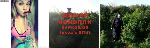 mix Богородицк