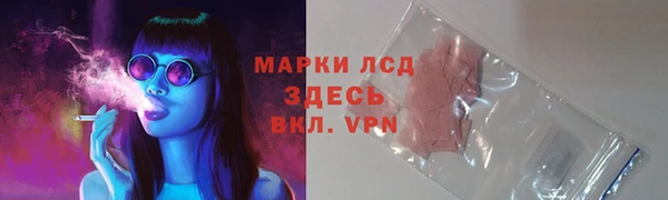 альфа пвп Бородино