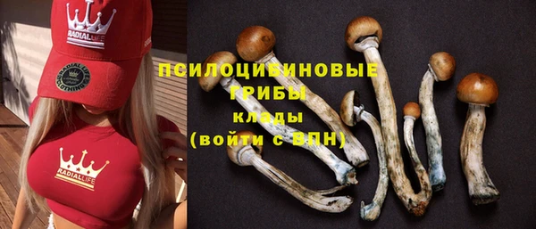 соль курить ск Богданович